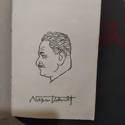 Thi hào Na dim Hit mét ( Xuân Diệu giới thiệu và dịch thơ ) 1002641