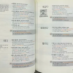 Từ điển tập trung vào động từ và tính từ  바로 찾아 바로 쓰는 영어표현사전 796355