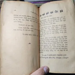 Một Bông Hồng Cho Tình Yêu - Ý Anh Bùi Trần Lục 1010526