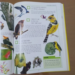 Mười vạn câu hỏi vì sao 547560