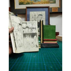 Truyện tranh Cô Gái Tiên Nữ