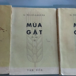 MÙA GẶT - G. Ni-cô-lai-ê-va 223484