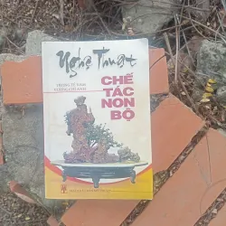 Nghệ thuật chế tác non bộ