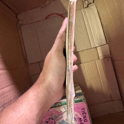 Sách xưa Người cá  447718