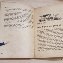 NHỮNG CUỘC PHIÊU LƯU CỦA HUCKLEBERRY FINN - Mark Twain  (tranh vẽ minh họa) 731846