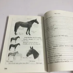 NGHỆ THUẬT CHĂM SÓC NGỰA  760018