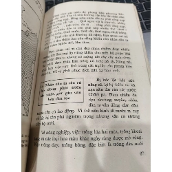 lịch sử lớp 6 phổ thông 545618