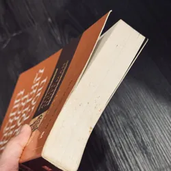 Những người nuôi chữ bồ câu 604509