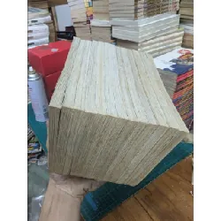 TRUYỆN TRANH Rockman Chiến Binh Thế Giới Ảo - Takamisaki Ryo 143058