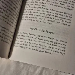 Rediscover Catholicism: A Spiritual Guide to Living with Passion and Purpose 783264