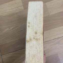 Tuỳ tiện phóng hoả - Mặc Bảo Phi Bảo 466624