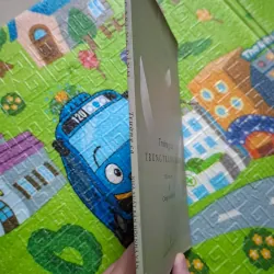 Trường ca Trung Trung Đỉnh: Đá và em & Chàng trai bằng đá 784012