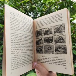 Cá Cảnh - PTS Sinh Học Võ Văn Chí 532117