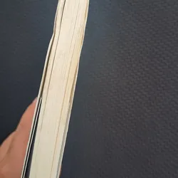 Khi tài năng không theo kịp giấc mơ - Mèo Maverick (tản văn) 731561