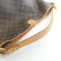 Túi xách vai Louis Vuitton Monogram Delightful PM M40352 - Hàng hiệu Chính hãng 767013