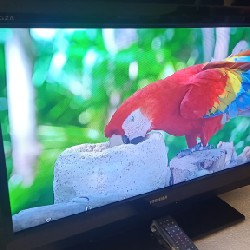 [Tivi Sony 32" Full Phụ Kiện - Thanh lý] 4646