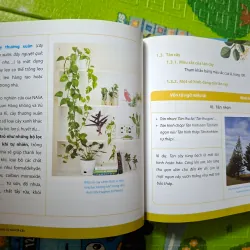Khám phá thế giới thực vật & Chinh phục văn miêu tả cây cối (bộ 2 tập) 782448