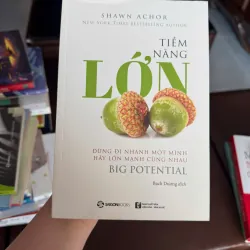 TIỀM NĂNG LỚN – Shawn Achor (Big Potential) - K3 1006577
