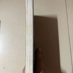 Chiến binh hạt dẻ  (c43) 507493