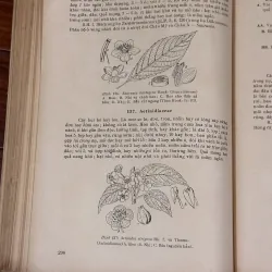 [sách quý] Những Họ Thực Vật Có Hoa (1975) 931249