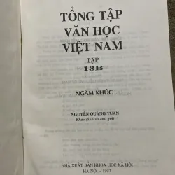 Tổng tập văn học Việt Nam 13B NGÂM KHÚC  975674