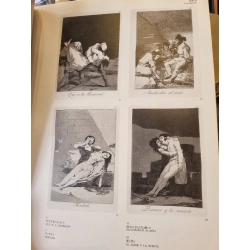 Sách tiếng Nhật 186 : Francisco De Goya Y Lucientes 363519