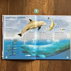 [Bìa cứng] Usborne Discovery: WHALES AND DOLPHINS 224295