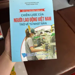 Chiến Lược Của Người Lao Động Việt Nam Trở Về Từ Nhật Bản- K4 1026109