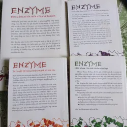 Nhân tố enzym - tác giả hiromi shinya 1028115