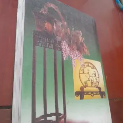 BONSAI Cây dáng, thế và Non bộ 751882