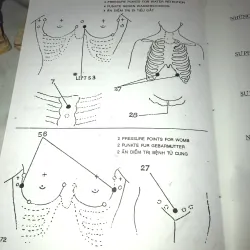 Bấm huyệt (Cách chữa & sự ích lợi) - FM. Houston, DC 1001145