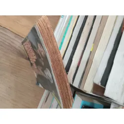 Một thời hoang lạnh - Lưu Văn Khuê 706818