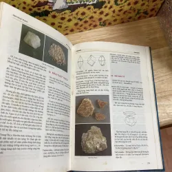Từ Điển Động Vật Và Khoáng Vật Làm Thuốc Ở Việt Nam - Võ Văn Chi 1046056