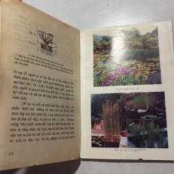 Trang trí vườn cảnh - Đỗ Xuân Hải 799844