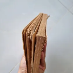 Thiên hồ, Đế hồ và văn thơ Phan Bội Châu 1025813