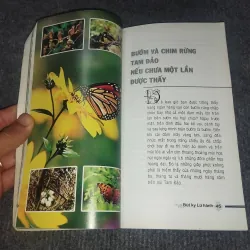 TAM ĐẢO. MIỀN DU LỊCH ĐẤT TÂM LINH 993099