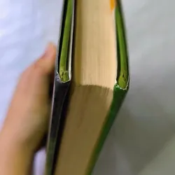 The Monsters of Morley Manor 732837