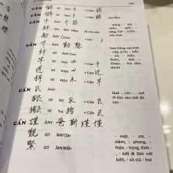 ĐẠI TỪ ĐIỂN CHỮ NÔM, bản bìa cứng (xb 2014) 990962