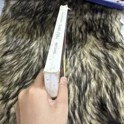 Tại sao, ở đâu ? 599778