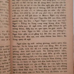 Nguyễn Long Châu đi tìm cõi Phật - Trần Hoàng Chính 1001317