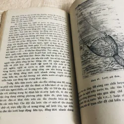 NGUỒN SINH VẬT BIỂN ĐÔNG 956906