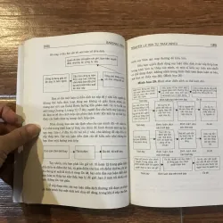 Nguyên lý Kim tự tháp Minto (8) 315804