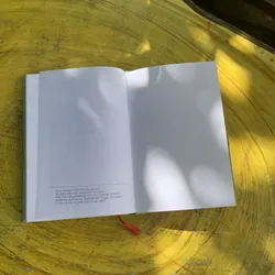 NÔNG QUỐC CHẤN - CUỘC ĐỜI VÀ SỰ NGHIỆP 738362