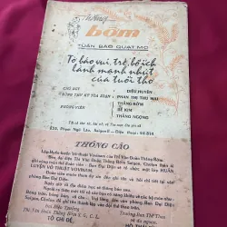 THẰNG BỜM - NGUYỄN VỸ (7 số) 995439