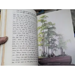 Hoa và cây cảnh - Đào Mạnh Khuyến 524648