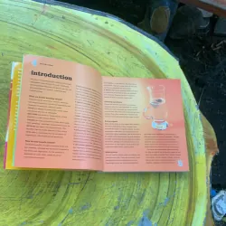 100 HEALTH- BOOSTING DRINKS- hanlyn 759812