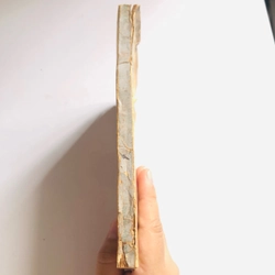 📚 TRIẾT LÝ ÂM DƯƠNG TRONG THUẬT TRƯỜNG SINH 1973 527560