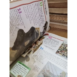 100 facts Warriors - Miles Kelly 999511