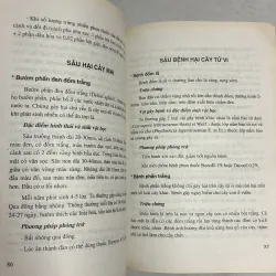 Phòng trừ sâu bệnh cây cảnh 790669