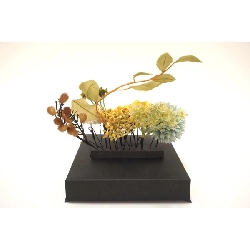 Băng đô - Hàng hiệu Authentic 884053